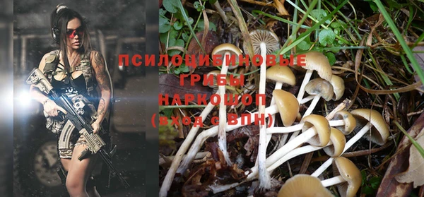ешки Кинешма