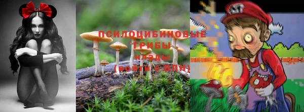 ешки Кинешма