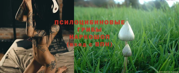 ешки Кинешма