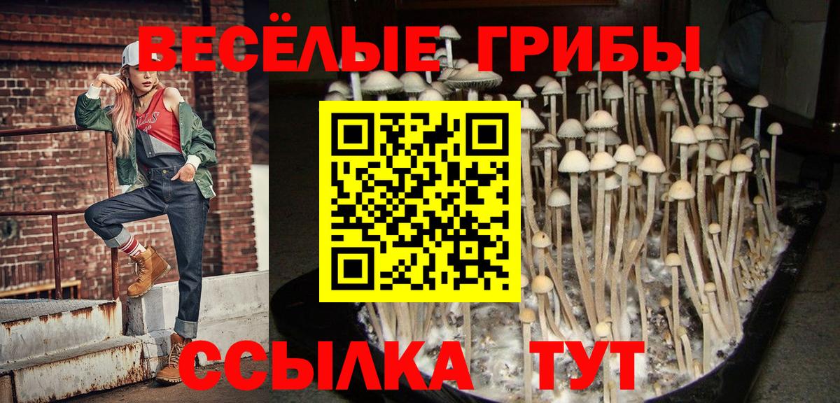 закладка  Октябрьский  Галлюциногенные грибы мухоморы 