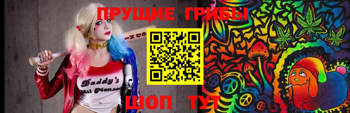 где найти   Псилоцибиновые грибы GOLDEN TEACHER  Вход с VPN  Октябрьский 