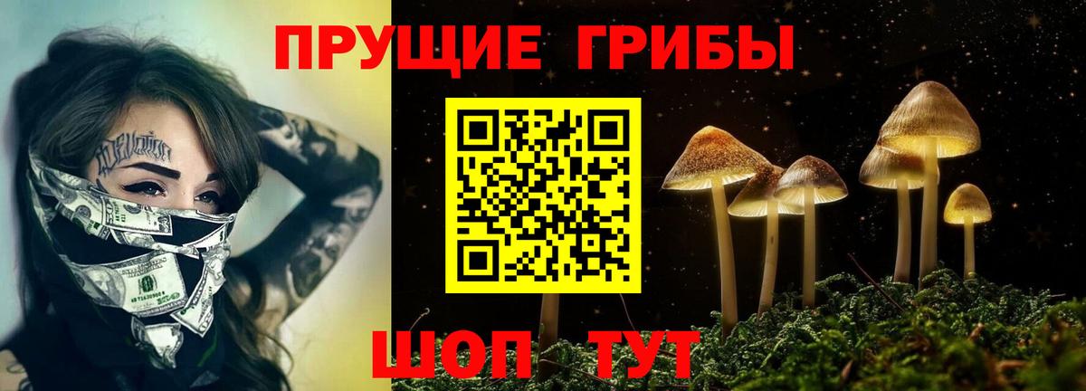 Галлюциногенные грибы Psilocybe Октябрьский